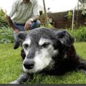 Meet your Posher, Sean