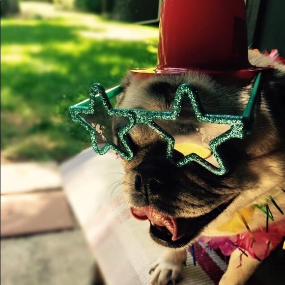 The best Poshmark mascot of all time. - Picture 1 of 8
