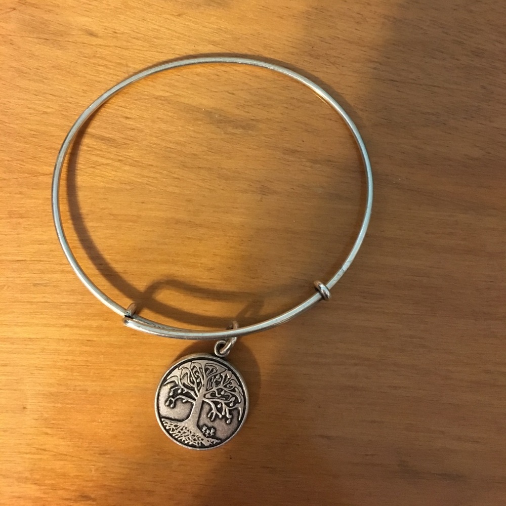 Alex and Ani tree of life bracelet