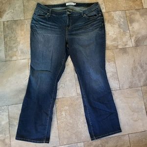 Torrid 22T bootcut jeans.