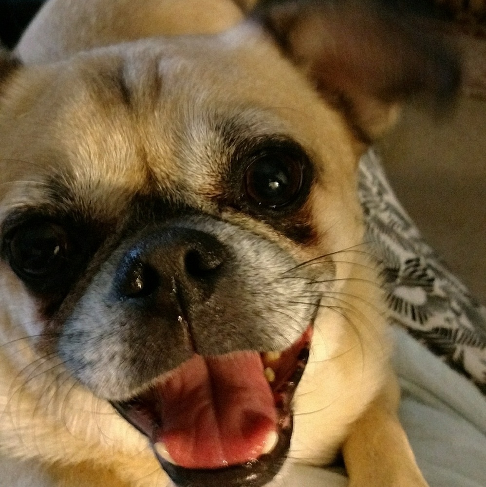 Meet your Posher, Corinne