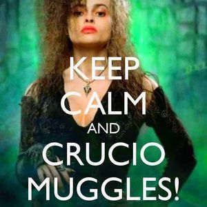 Meet your Posher, Marci