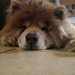 Meet your Posher, Marissa