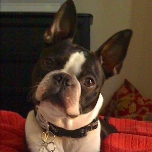 Meet your Posher, Kimberly