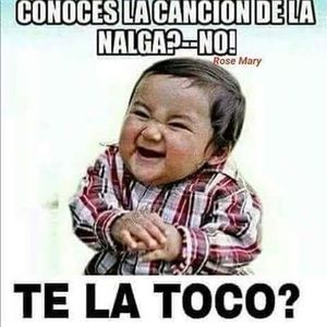 Meet your Posher, Monica