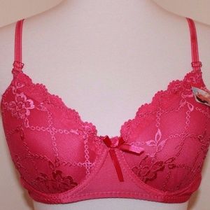 36C Pink Lace Lined Full Figure Underwire Bra NWT