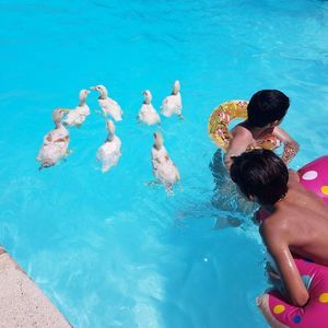 Meet your Posher, Joseph