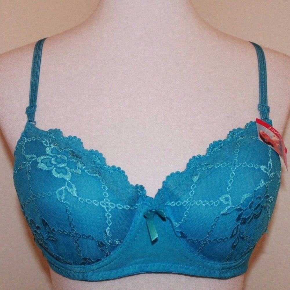36C Blue Lace Lined Full Figure Underwire Bra NWT
