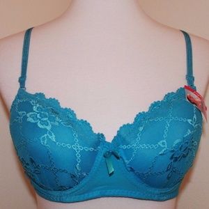 36C Blue Lace Lined Full Figure Underwire Bra NWT
