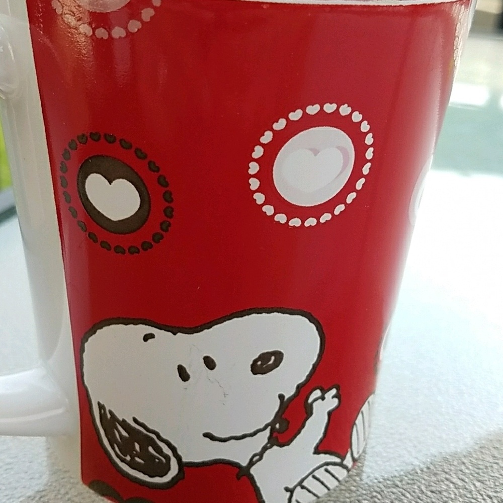 Meet your Posher, Ana