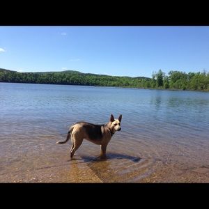 Meet your Posher, Brandon