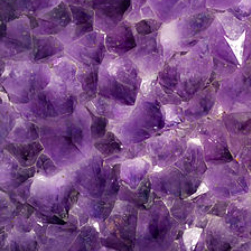 Meet your Posher, Maya