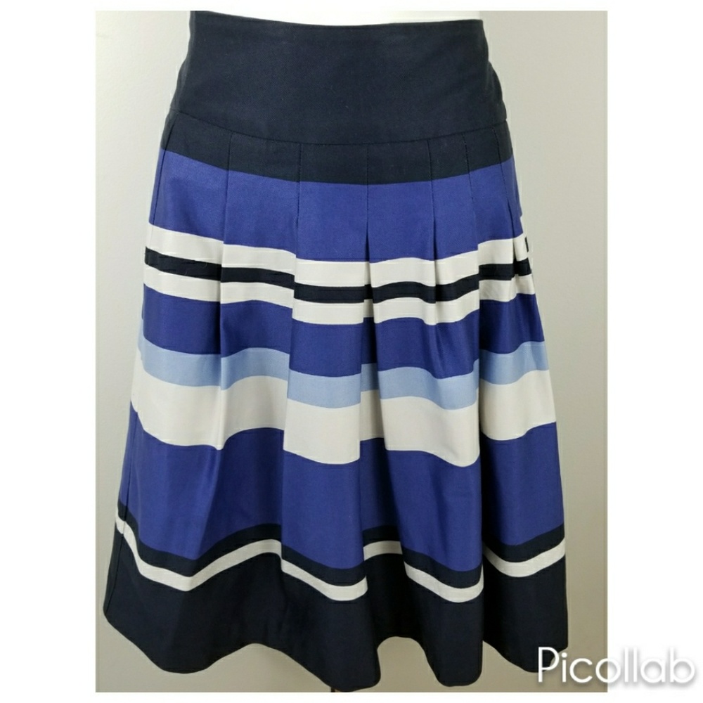 Stripped Blue Pleated Skirt