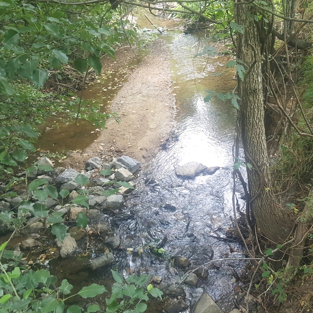 Meet your Posher, Tabatha