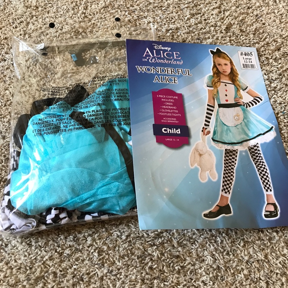 Alice in Wonderland costume. Worn only once.