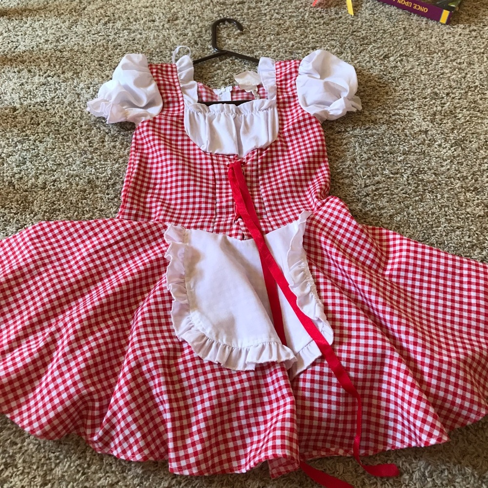 Maids costume dress. Worn only once!