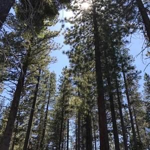 Meet your Posher, Sana