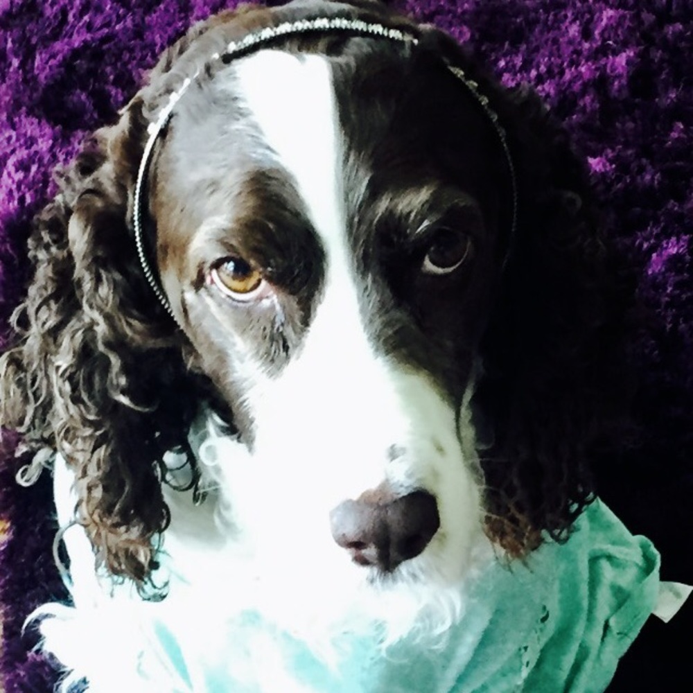 Meet your Posher, Raquel