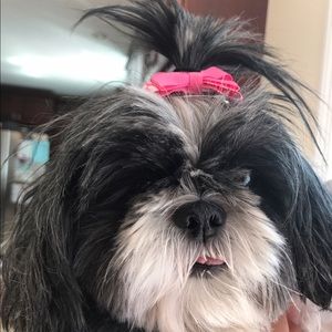 Meet your Posher, Natalie