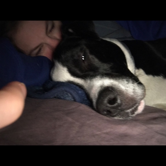 Meet your Posher, Natasha - Picture 1 of 1