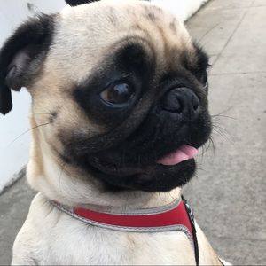 Meet your Posher, Olivia