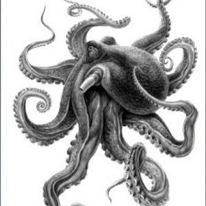 Meet your Posher, Moe