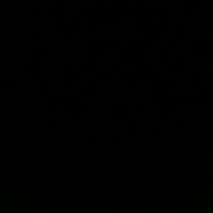 Meet your Posher, Niko