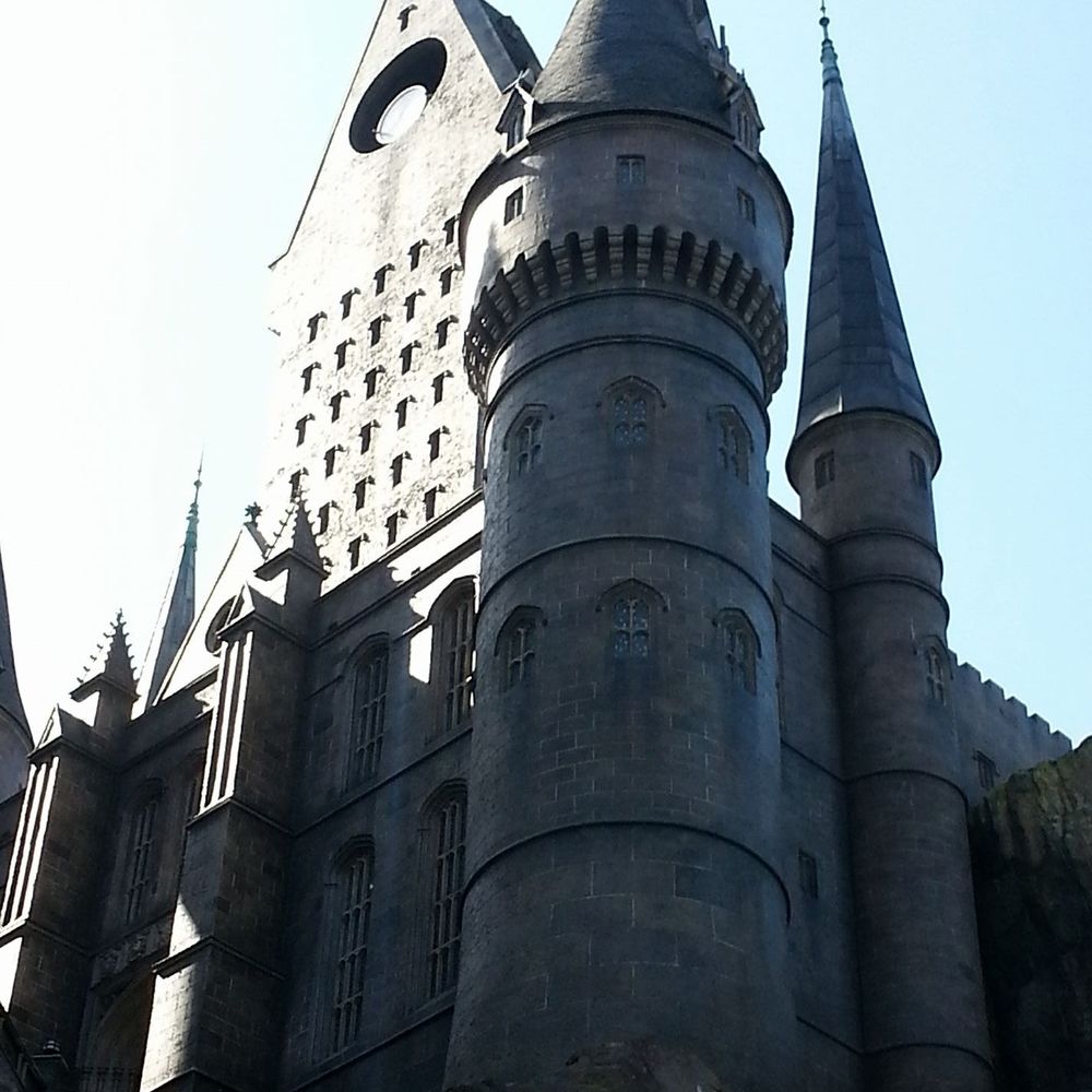 Meet your Posher, Molly