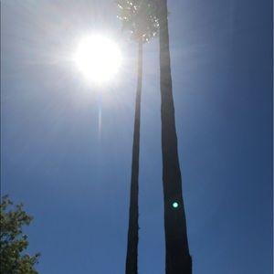 Meet your Posher, Destiny