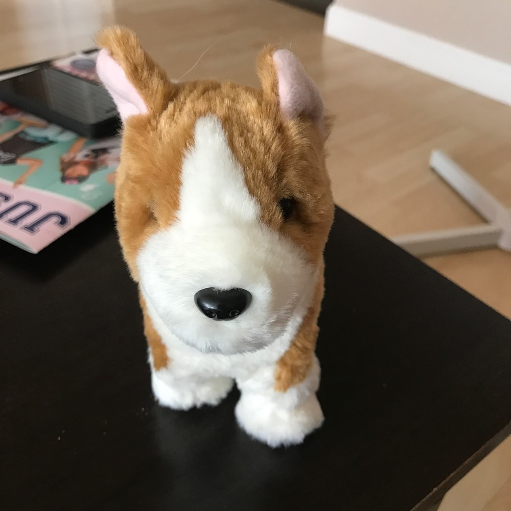 American girl puppy