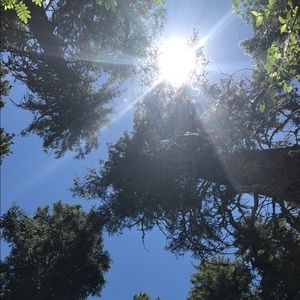 Meet your Posher, Nevaeh