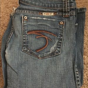 Frankie B size 4 low rise