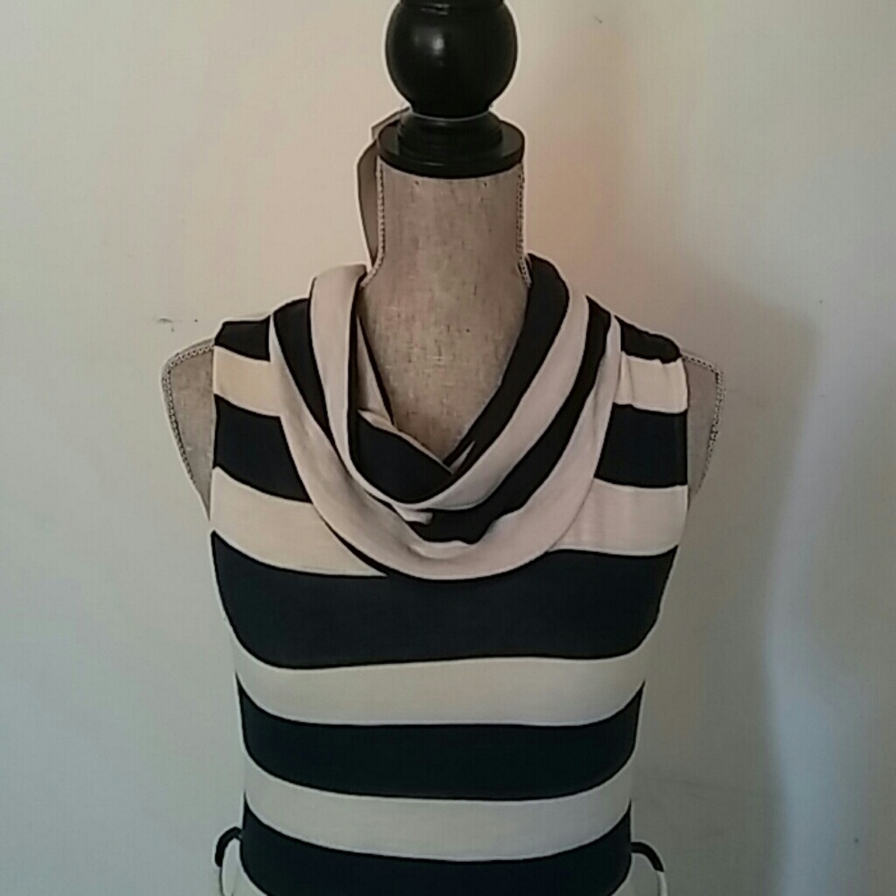 Striped Fitted Dress