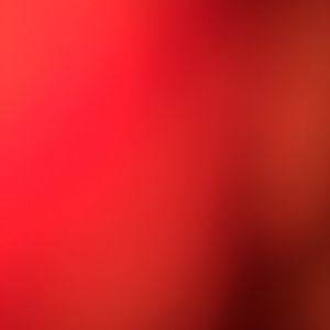 Meet your Posher, Zach