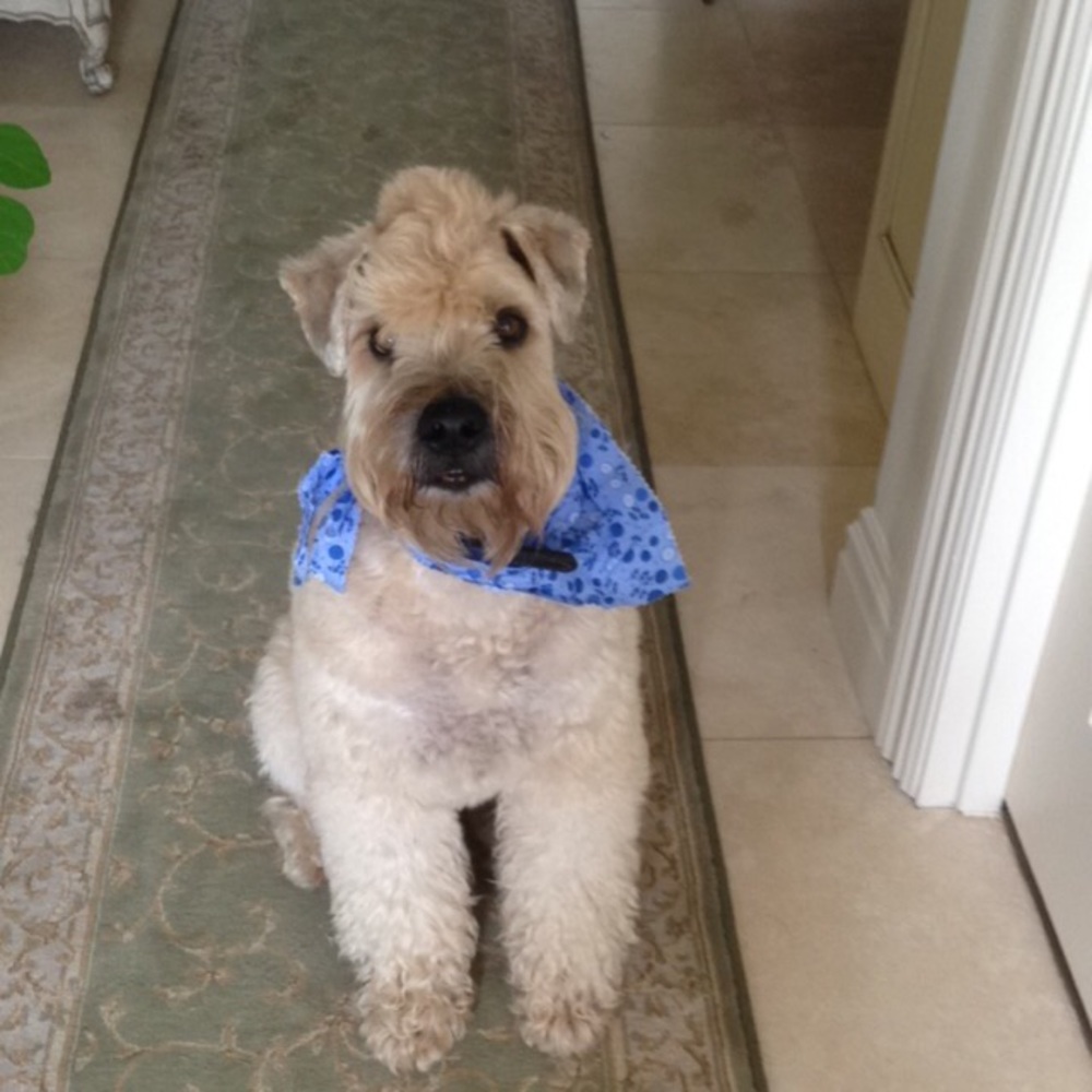 Meet your Posher, Drue