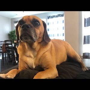 Meet your Posher, Lauren