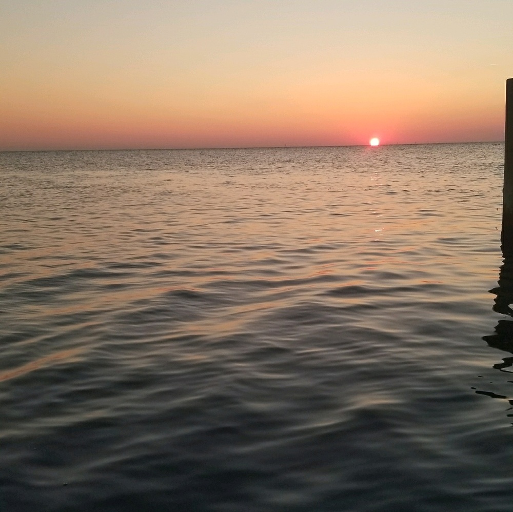 Meet your Posher, Paige