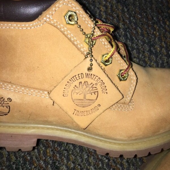 Wheat Timberlands - Picture 4 of 5