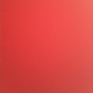 Meet your Posher, Reagan