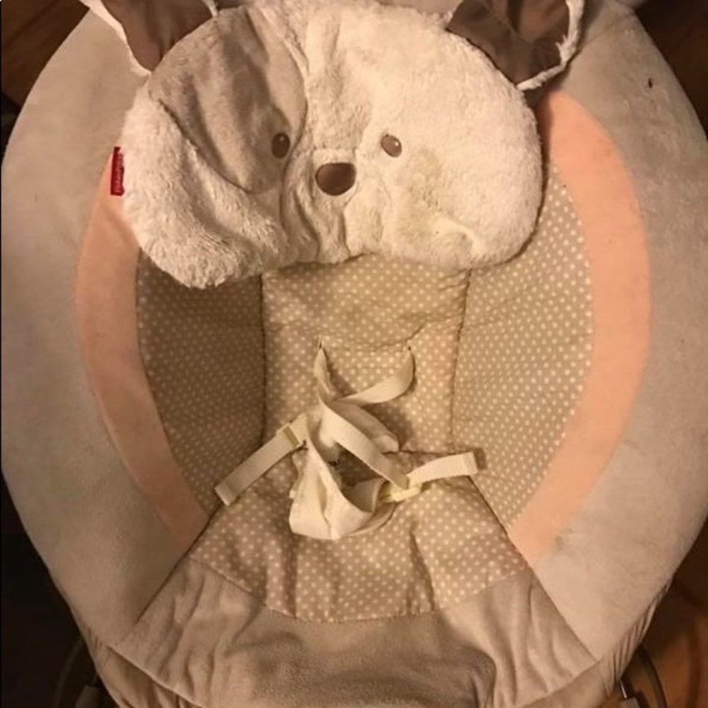 Baby bouncer
