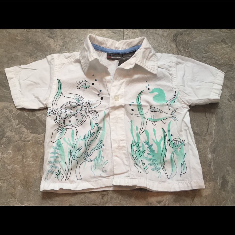 Boys Button Down
