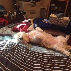 Meet your Posher, Tom