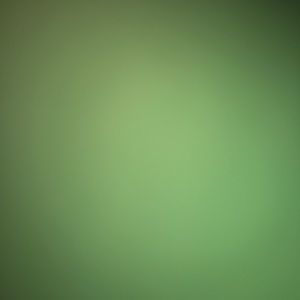 Meet your Posher, Ciara