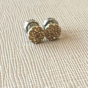 Fossil gold studs