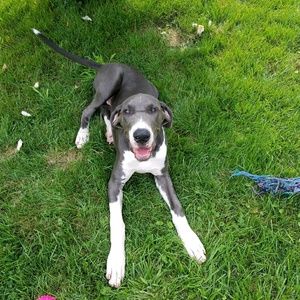 Meet your Posher, Patty