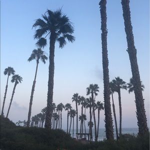 Meet your Posher, Darice