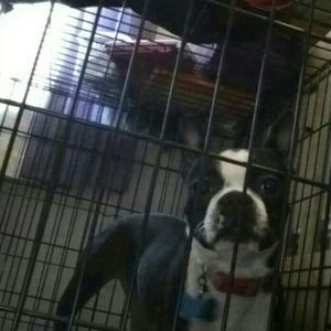 Meet your Posher, Day