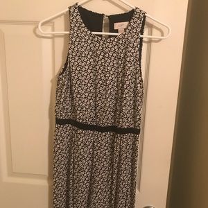 Women's Ann Taylor Loft dress
