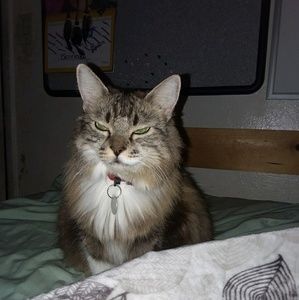 Meet your Posher, Margaret