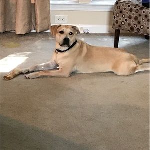 Meet your Posher, Susan